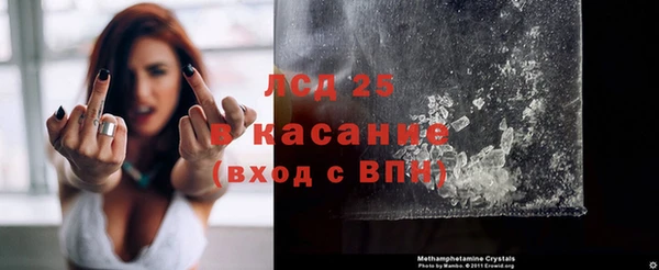 молекула духа Елабуга