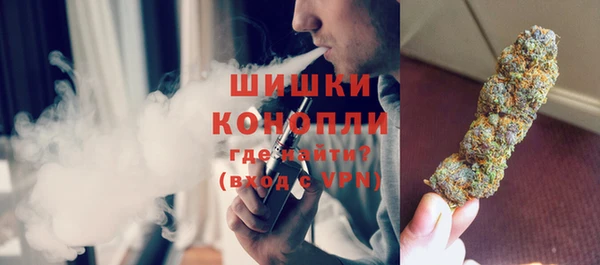 молекула духа Елабуга