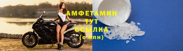 молекула духа Елабуга