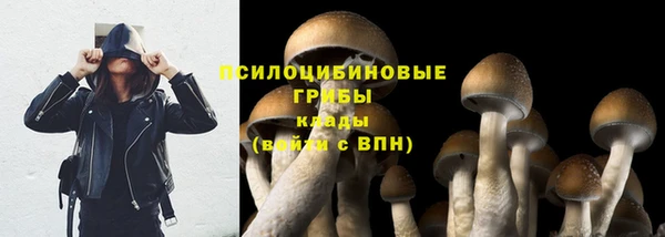 молекула духа Елабуга