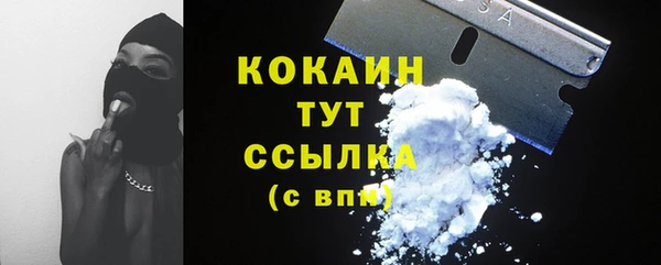 скорость Елизово