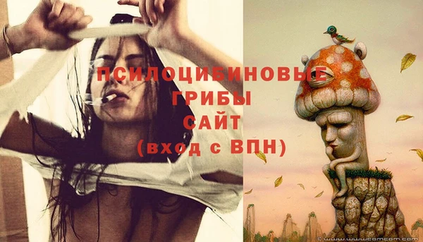 скорость Елизово