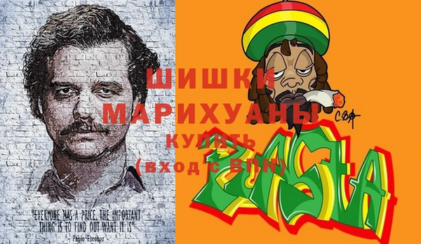 молекула духа Елабуга