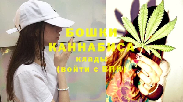 молекула духа Елабуга