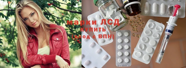молекула духа Елабуга