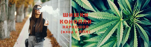 молекула духа Елабуга