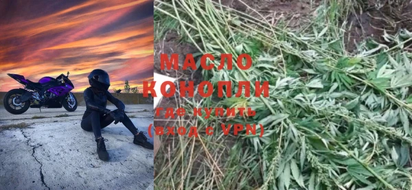 молекула духа Елабуга