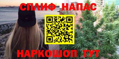 прущая мука Майкоп