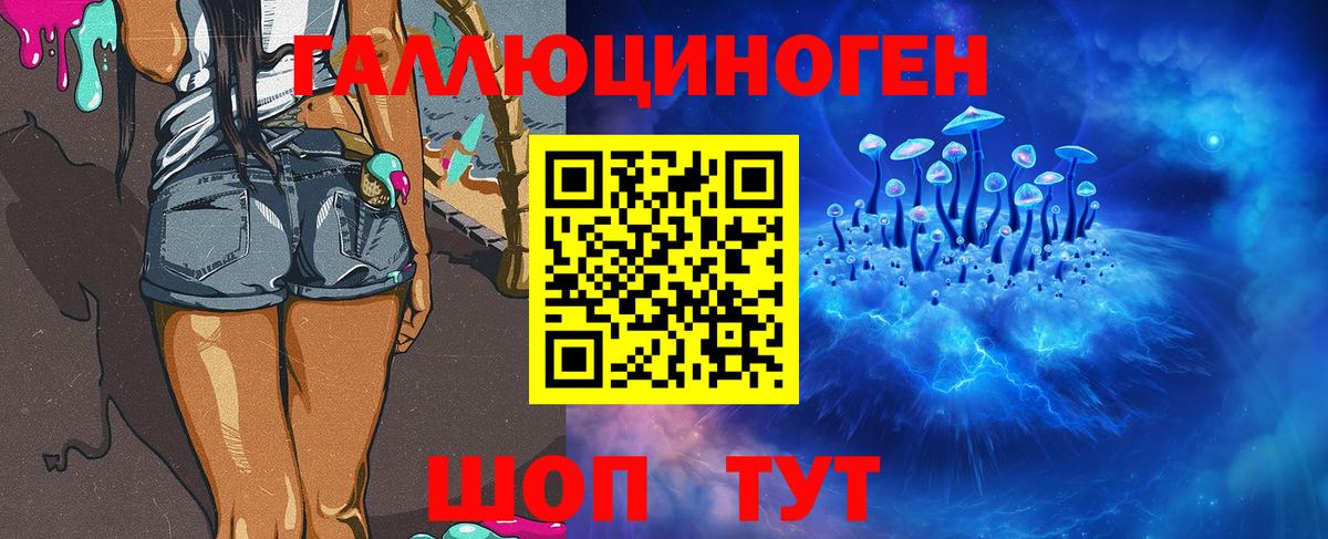 Псилоцибиновые грибы Psilocybine cubensis Заринск