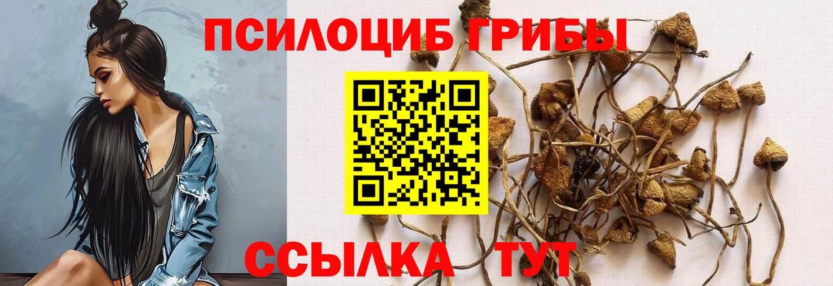 Псилоцибиновые грибы GOLDEN TEACHER  Псилоцибиновые грибы мухоморы  Заринск 